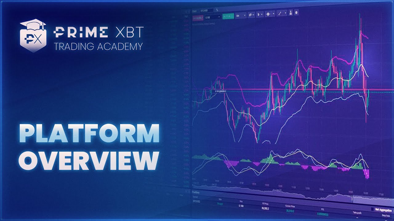 PrimeXBT Tutorial 1: Platform Overview